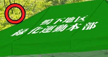 縫い目を跨がないデザイン〇